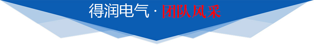 得润电气团队风采