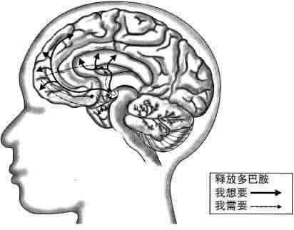 安徽得润电气 成套高低压开关柜 厂家 报价 电话：400-0551-777 qq：3176885416
