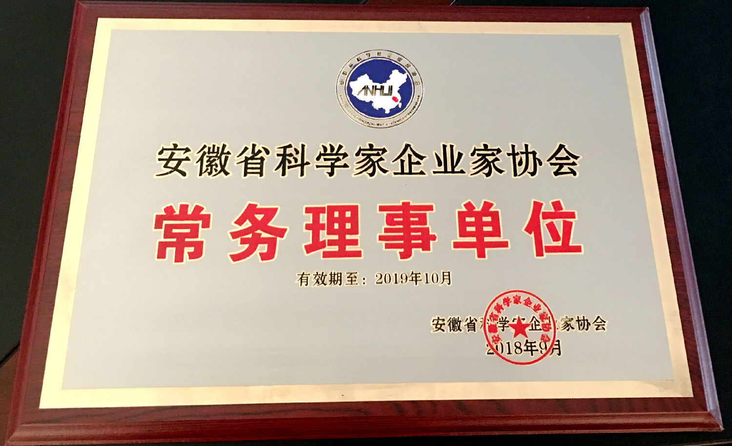 安徽省科学家企业家协会.jpg
