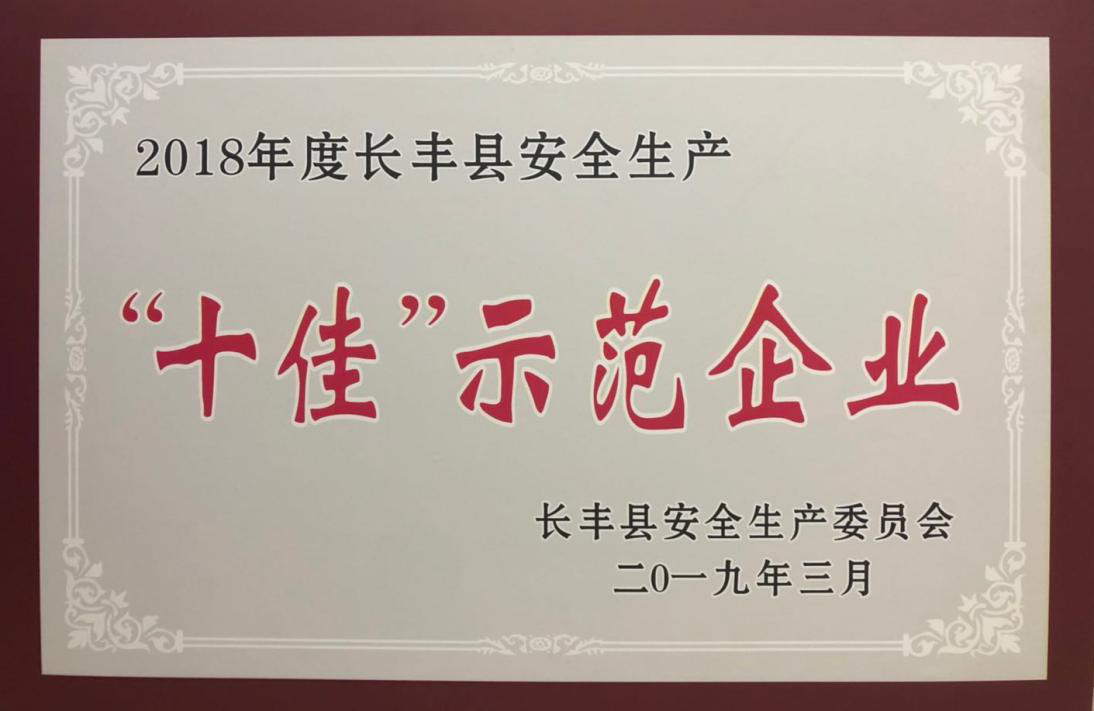 十佳示范企业.png