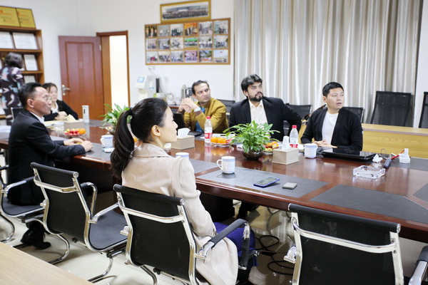 双方进行会议交谈