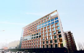 乐成桃子汉化300款黄油移植游戏新人