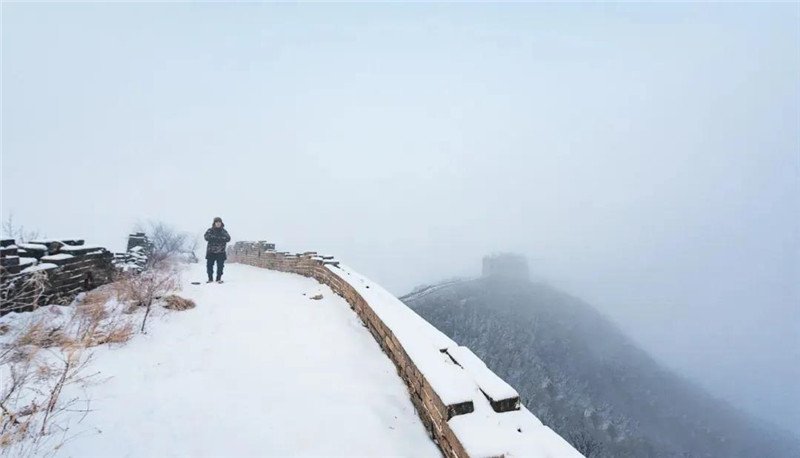 总会遇到各类不同的风景