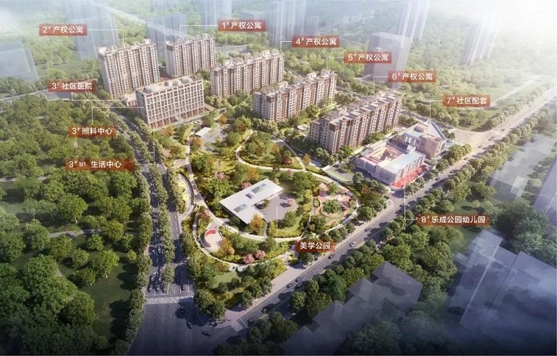 悉心见证 家的成长