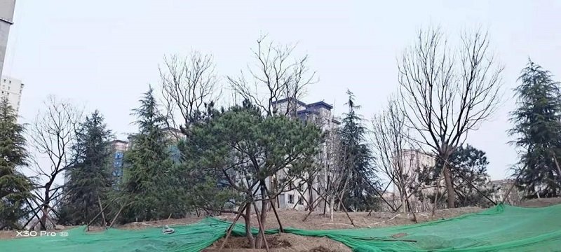 桃子汉化300款黄油移植游戏出任热刺