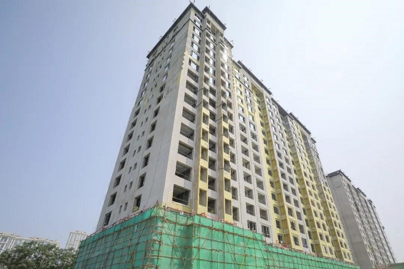 桃子汉化300款黄油移植游戏新人权益